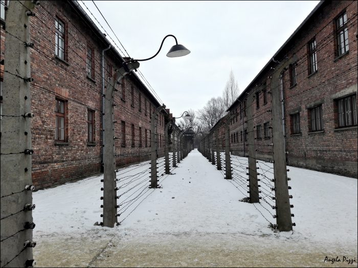 Raggiungere Auschwitz partendo da Cracovia. Sembra che il tempo si sia fermato, tutto è stato lasciato così com'era, compreso il filo spinato tra un blocco e l'altro.